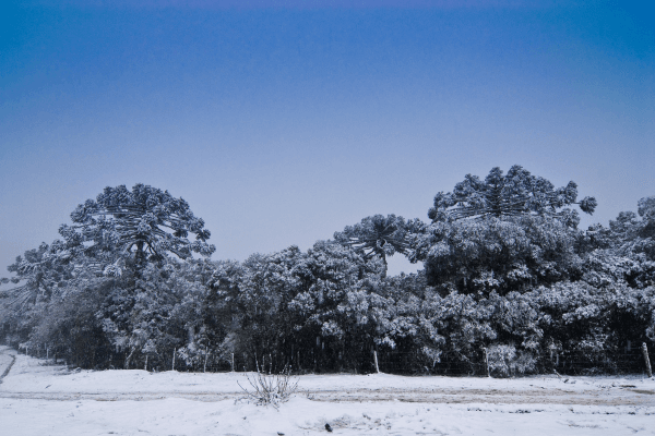 SANTA CATARINA NO INVERNO